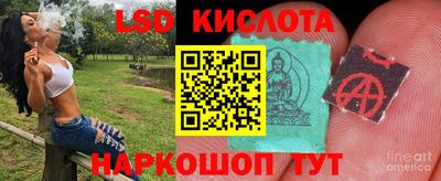 прущие грибы Будённовск