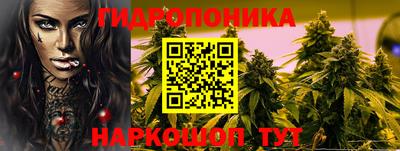 прущие грибы Будённовск