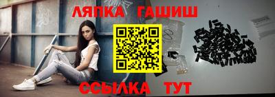 прущие грибы Будённовск