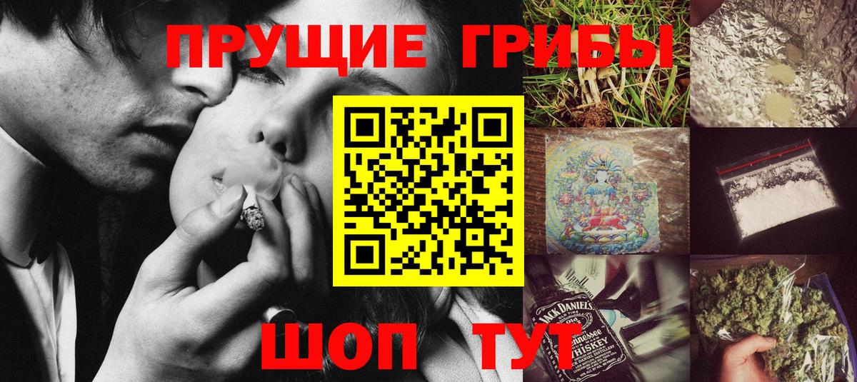 Псилоцибиновые грибы Cubensis Фурманов
